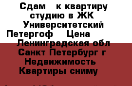 Сдам 1 к квартиру-студию в ЖК “Университетский Петергоф“ › Цена ­ 16 000 - Ленинградская обл., Санкт-Петербург г. Недвижимость » Квартиры сниму   